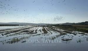 Venta Villa Comporta