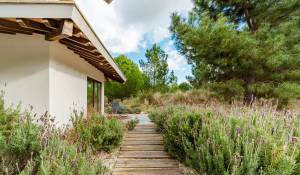 Venta Villa Grândola e Santa Margarida da Serra