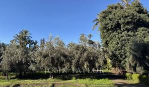 Venta Villa Marrakech