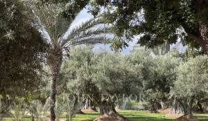 Venta Villa Marrakech