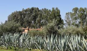 Venta Villa Marrakech