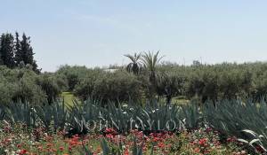 Venta Villa Marrakech