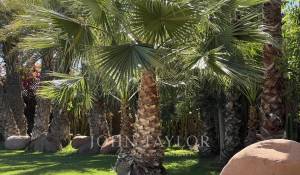 Venta Villa Marrakech