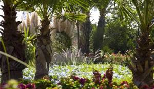 Venta Villa Marrakech