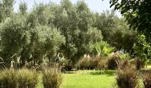 Venta Villa Marrakech