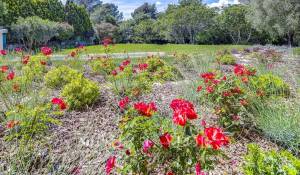 Venta Villa Mougins