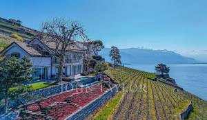 Venta Villa Saint-Saphorin