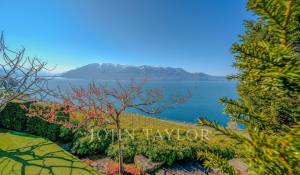 Venta Villa Saint-Saphorin