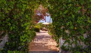 Venta Villa Sant Jordi de Ses Salines