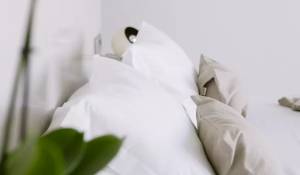 Venta Villa Sant Josep de sa Talaia