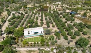 Venta Villa Santa María del Camí