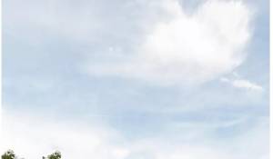 Venta Villa Sotogrande