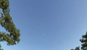 Venta Villa Sotogrande