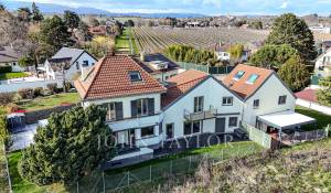 Venta Villa Tolochenaz