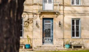 Venta Viñedo Bordeaux