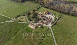 Venta Viñedo Bordeaux