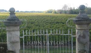 Venta Viñedo Bordeaux