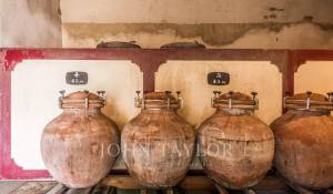 Venta Viñedo Bordeaux