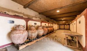 Venta Viñedo Bordeaux