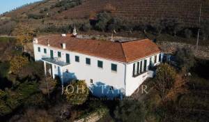Venta Viñedo Cambres