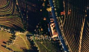 Venta Viñedo Cambres