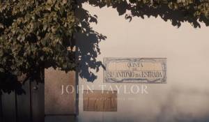 Venta Viñedo Cambres