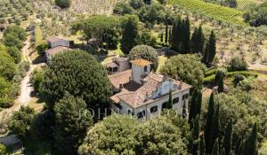 Venta Viñedo Firenze