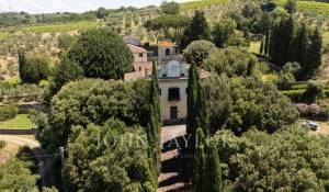Venta Viñedo Firenze