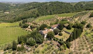 Venta Viñedo Firenze
