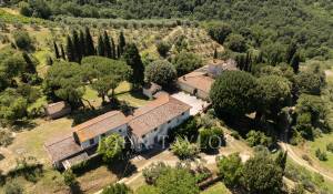 Venta Viñedo Firenze