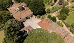 Venta Viñedo Firenze