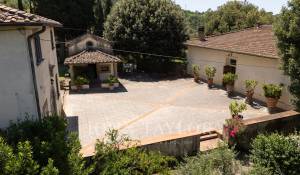 Venta Viñedo Firenze