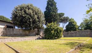 Venta Viñedo Firenze