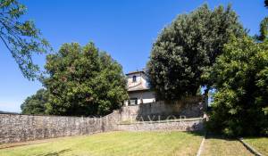 Venta Viñedo Firenze