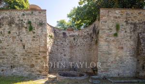 Venta Viñedo Firenze