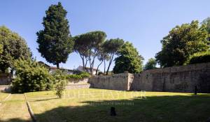Venta Viñedo Firenze