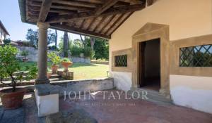 Venta Viñedo Firenze