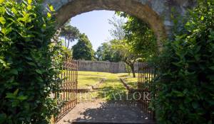 Venta Viñedo Firenze