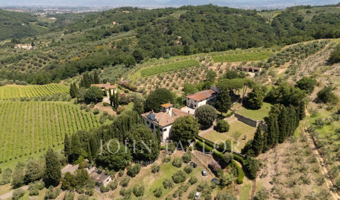 Venta Viñedo Firenze