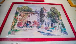 Venta Viñedo L'Isle-sur-la-Sorgue