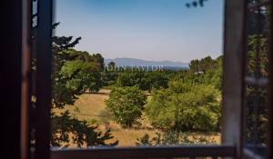 Venta Viñedo L'Isle-sur-la-Sorgue