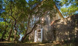 Venta Viñedo L'Isle-sur-la-Sorgue
