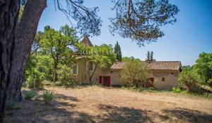 Venta Viñedo L'Isle-sur-la-Sorgue