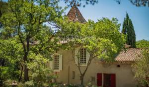 Venta Viñedo L'Isle-sur-la-Sorgue