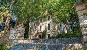 Venta Viñedo L'Isle-sur-la-Sorgue