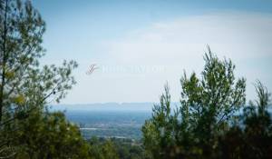 Venta Viñedo L'Isle-sur-la-Sorgue