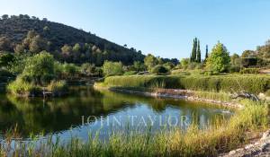 Venta Viñedo Palma de Mallorca