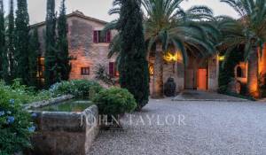 Venta Viñedo Palma de Mallorca
