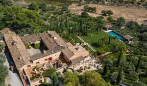 Venta Viñedo Palma de Mallorca