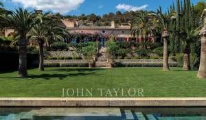 Venta Viñedo Palma de Mallorca
